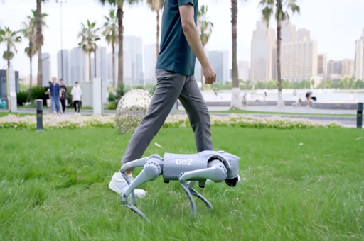 Unitree Go2 Quadruped